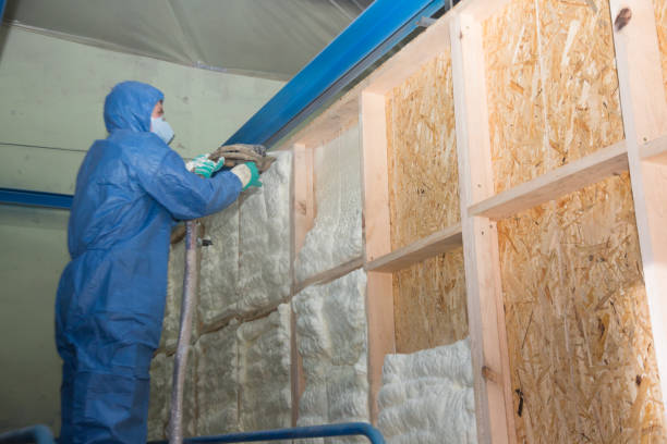Best Professional Insulation Contractor  in Presidio, TX